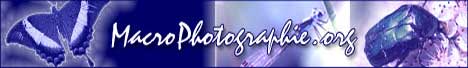Macrophotographie