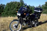 Africa twin 001