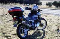 Africa twin 005