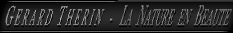 G&eacute;rard Th&eacute;rin